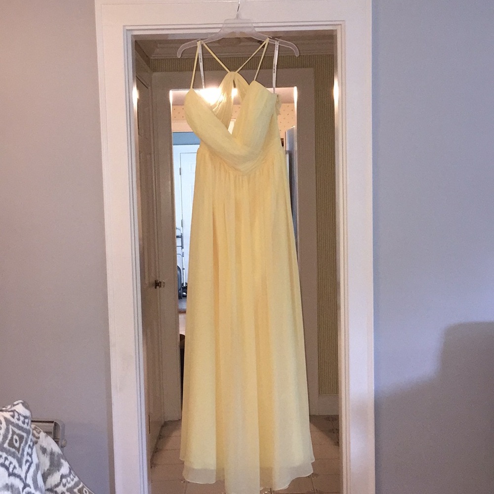 Bari Jay Bridesmaid or Prom Dress
